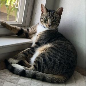 Meet your Posher, Rosa